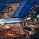 Illustration for article titled A research cruise could recruit tourists to study tsunami debris